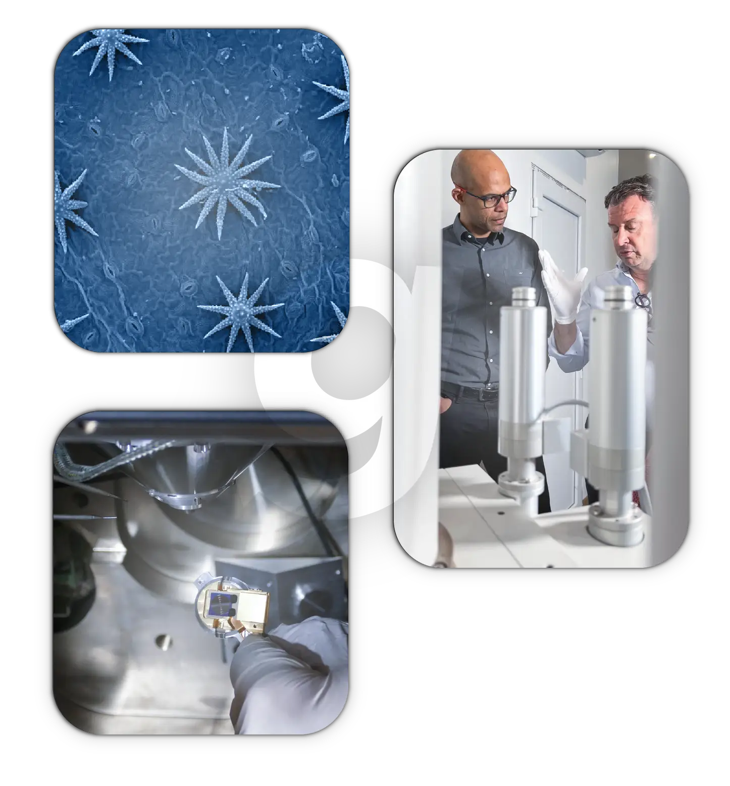 2REGEN Process Regen Microscopy 2REGEN-process