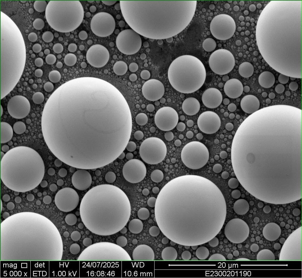 SEM FEI 015 Tin 5000x 1kV Spot4 Regen Microscopy used second hand electron microscope for sale