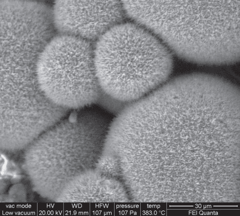  used second hand electron microscope for sale