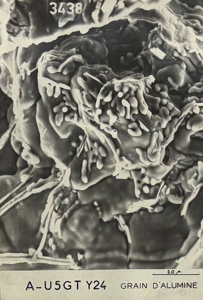 SEM JEO 003 JEOL JSM 6490LV Scanning Electron Microscope Image 3438 Result Regen Microscopy used second hand electron microscope for sale