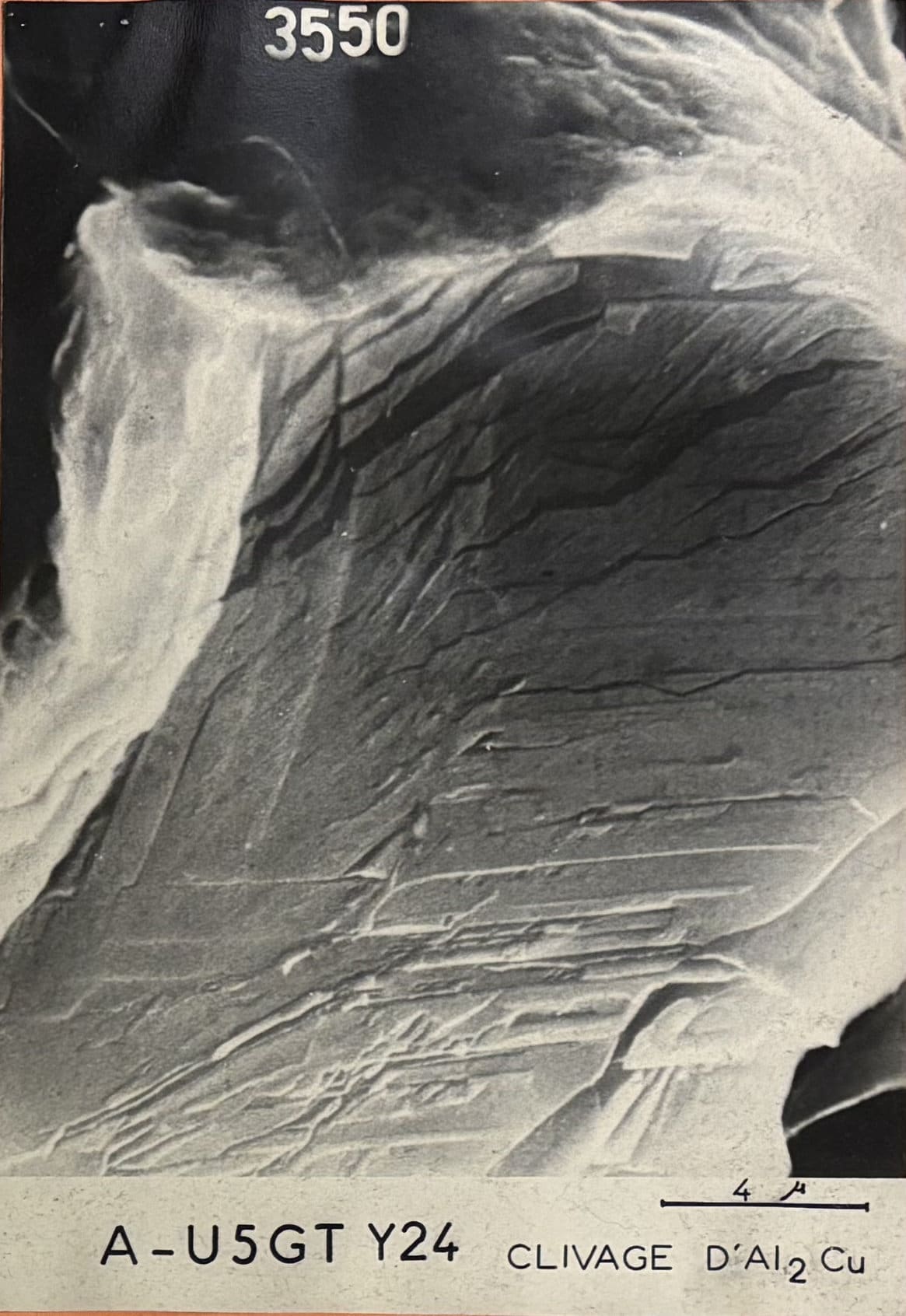 SEM JEO 003 JEOL JSM 6490LV Scanning Electron Microscope Image 3550 Regen Microscopy used second hand electron microscope for sale