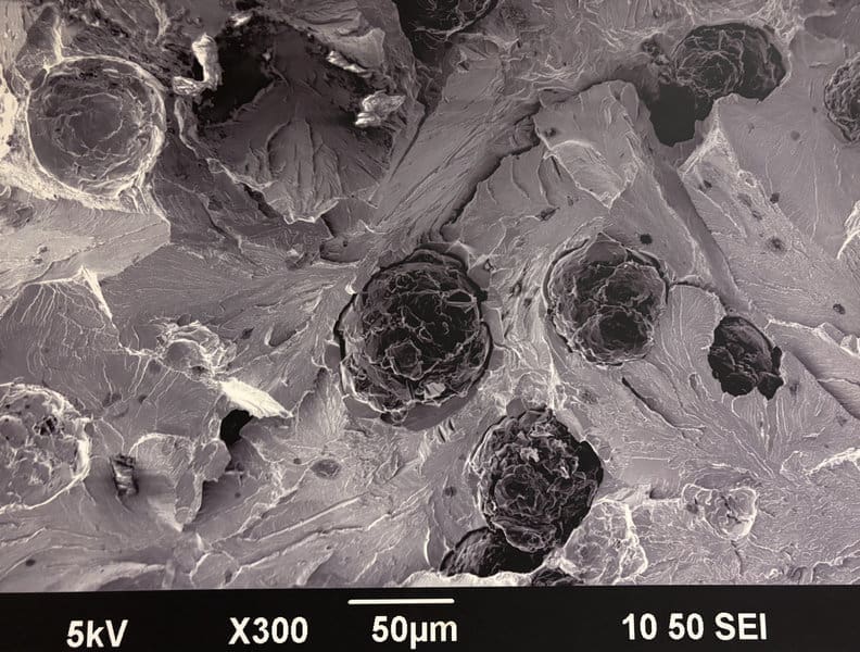 SEM JEO 003 JEOL JSM 6490LV Scanning Electron Microscope Image 5kV Regen Microscopy used second hand electron microscope for sale